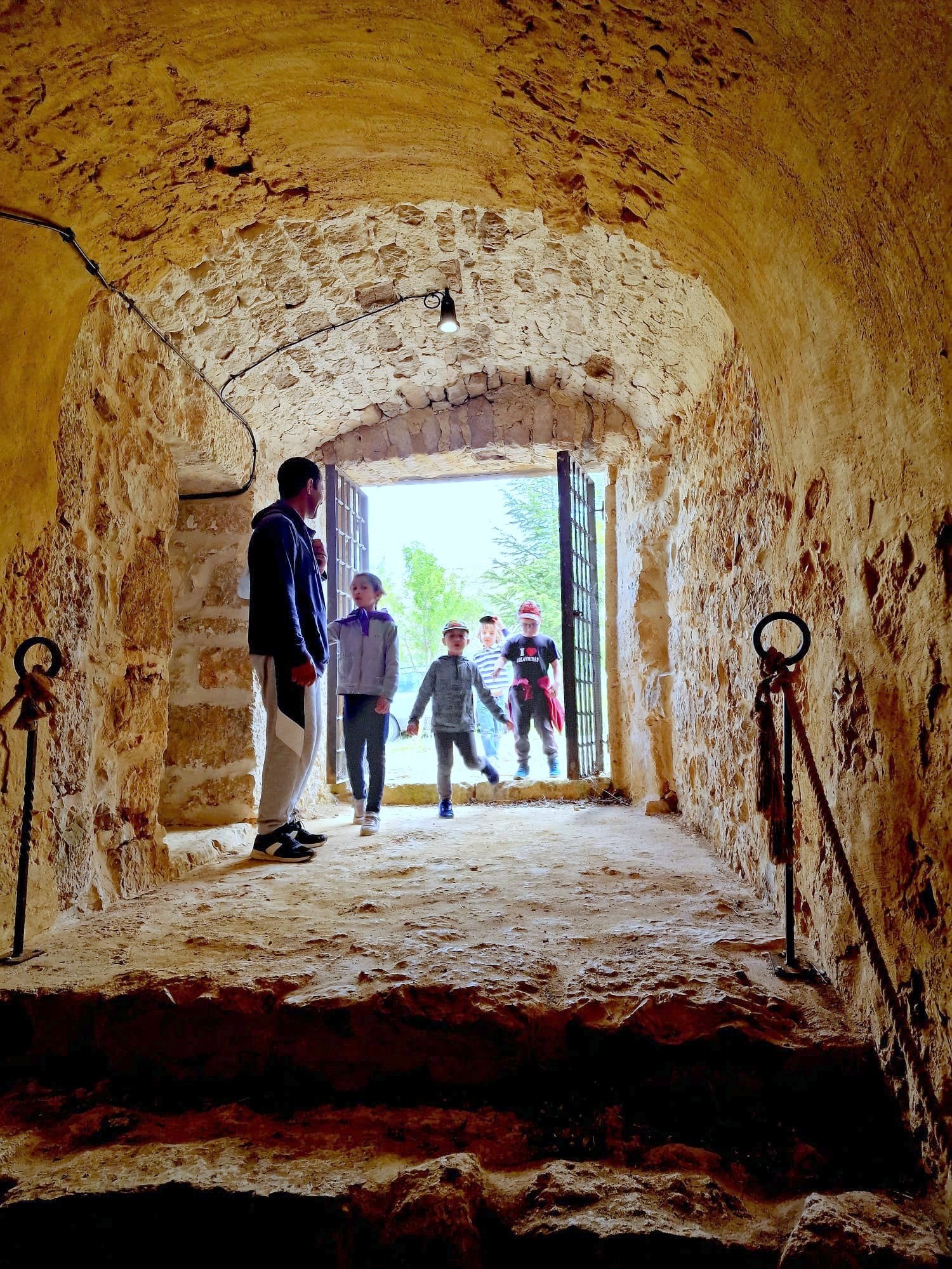 Pasear entre lilas en Villaviudas