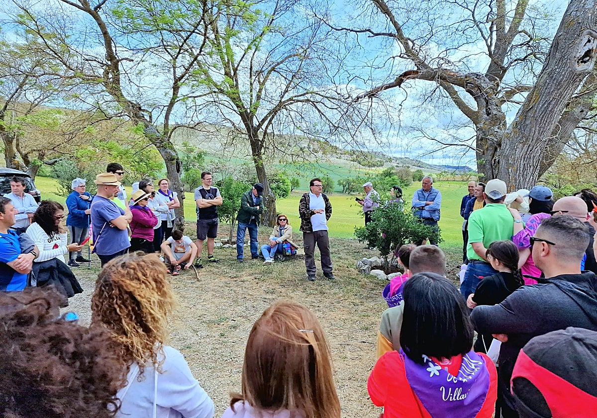 Pasear entre lilas en Villaviudas