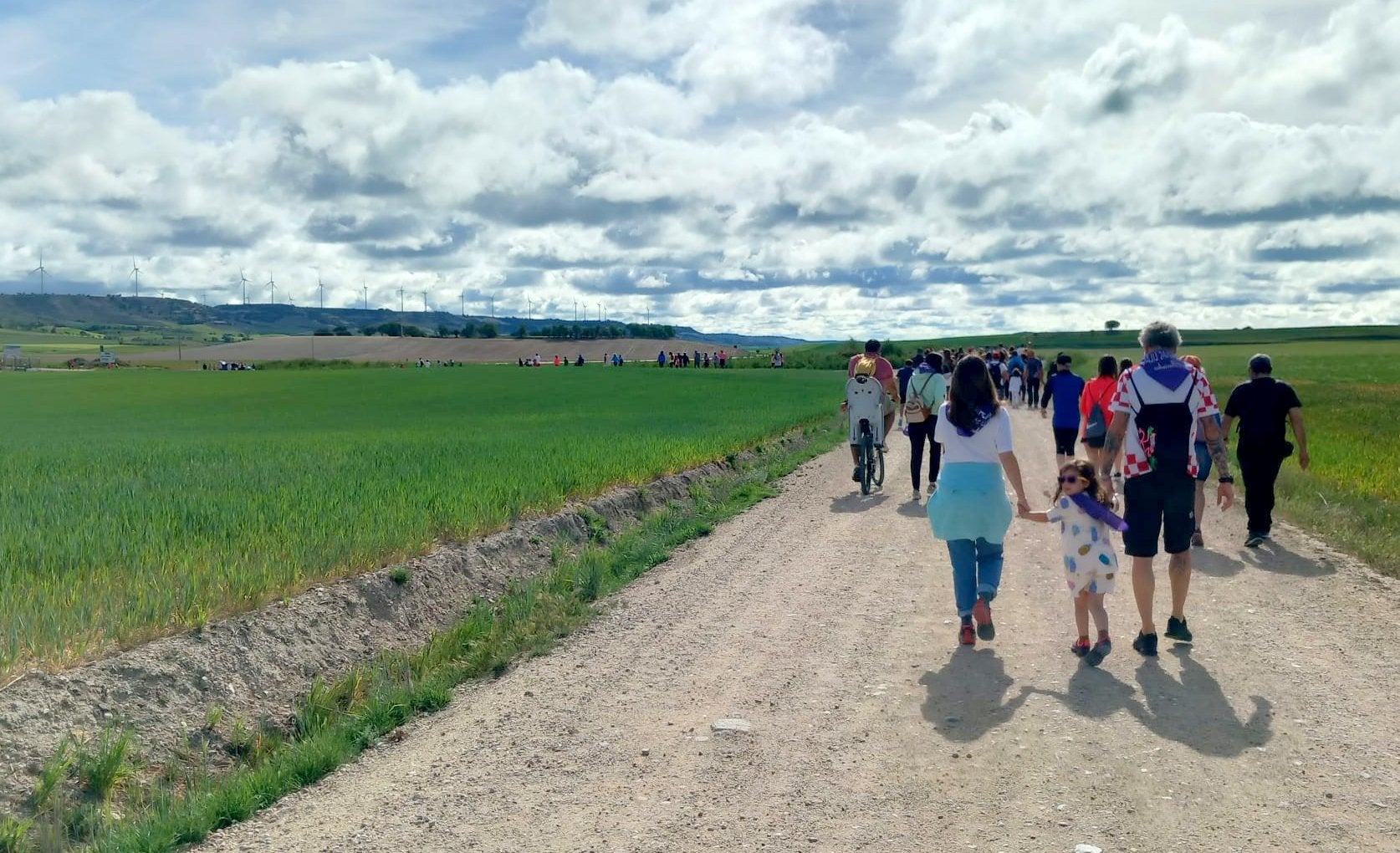 Pasear entre lilas en Villaviudas