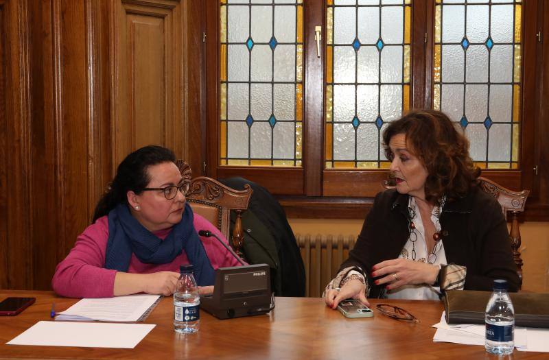 Sonia Ordóñez, portavoz de Ganemos, conversa con Sonia Lalanda, portavoz de Vox, en el pleno.