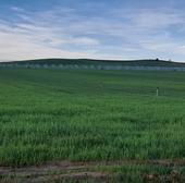 El adelanto del riego sitúa los embalses de la CHD 14 puntos por debajo de la media de la última década