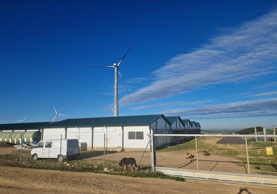 Instalaciones de la granja Potosí en Valverde de Campos, Valladolid, donde se aprecia la proximidad de los aerogeneradores.