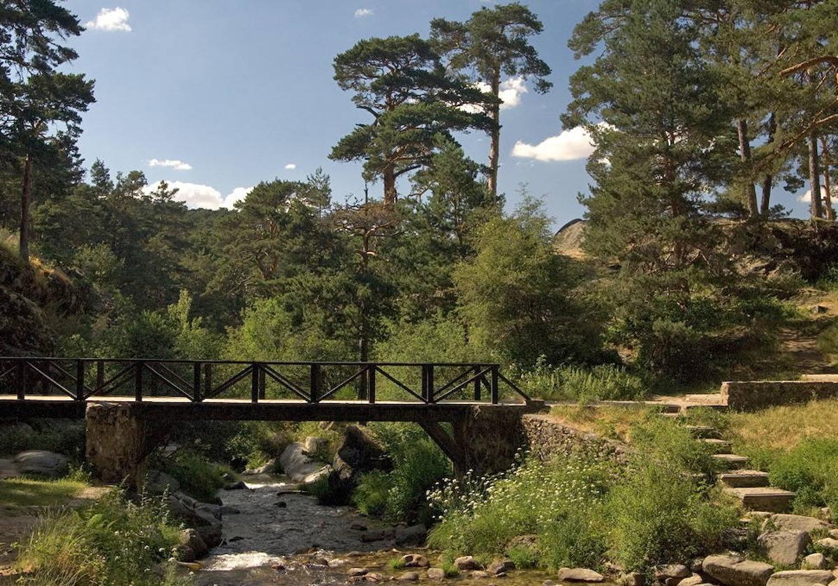 Real Sitio de San Ildefonso: «Los fondos europeos son una gran oportunidad»