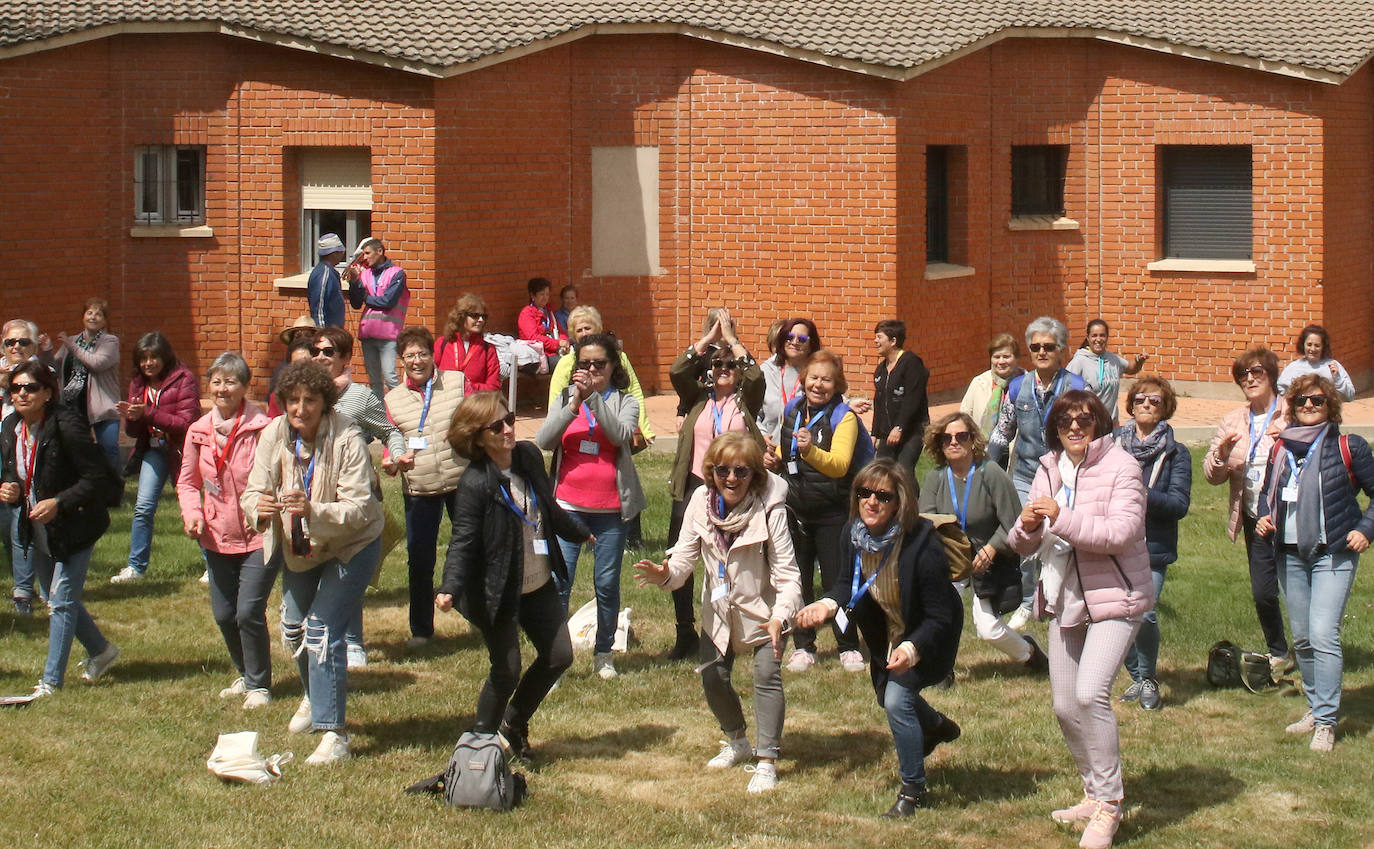 Fiesta de las Aulas Sociales y de Manualidades