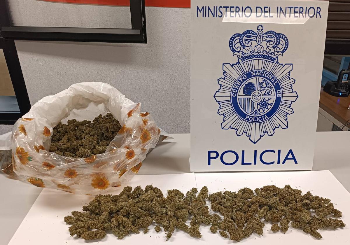 Marihuana incautada por la Policía Nacional de Segovia.