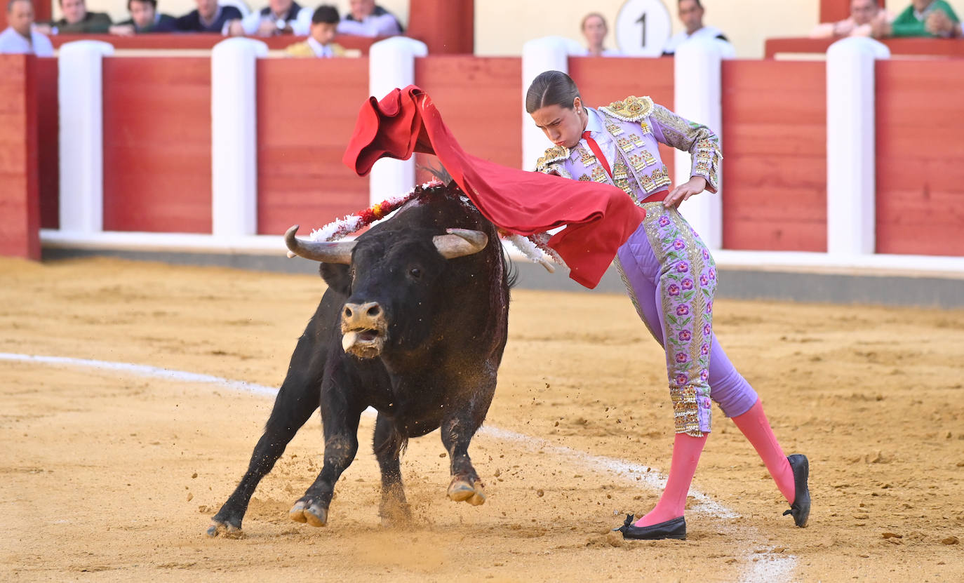 La novillada de San Pedro Regalado, en imágenes