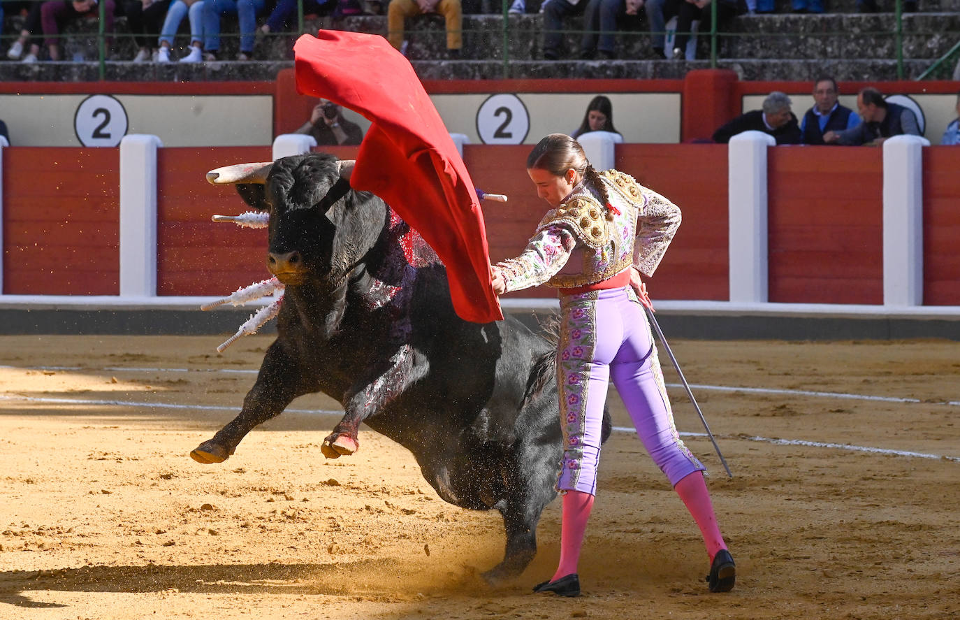 La novillada de San Pedro Regalado, en imágenes