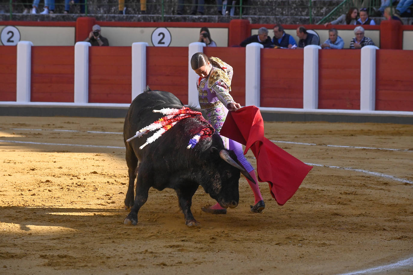 La novillada de San Pedro Regalado, en imágenes