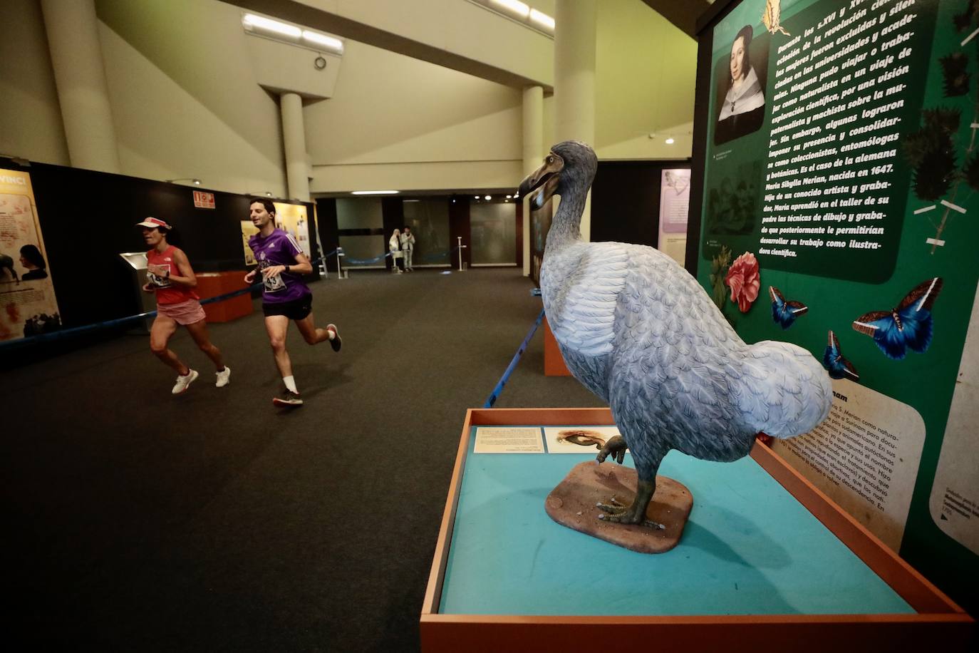 Valladolid acoge la Carrera de la Ciencia