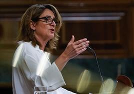 La vicepresidenta Teresa Ribera, durante su intervención parlamentaria.