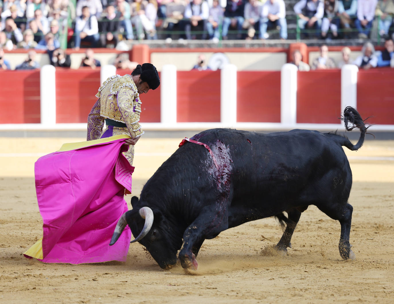 La corrida de toros de San Pedro Regalado, en imágenes