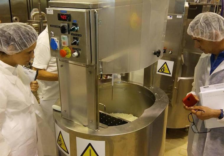 Itacyl da a conocer la fabricación de quesos de pasta hilada