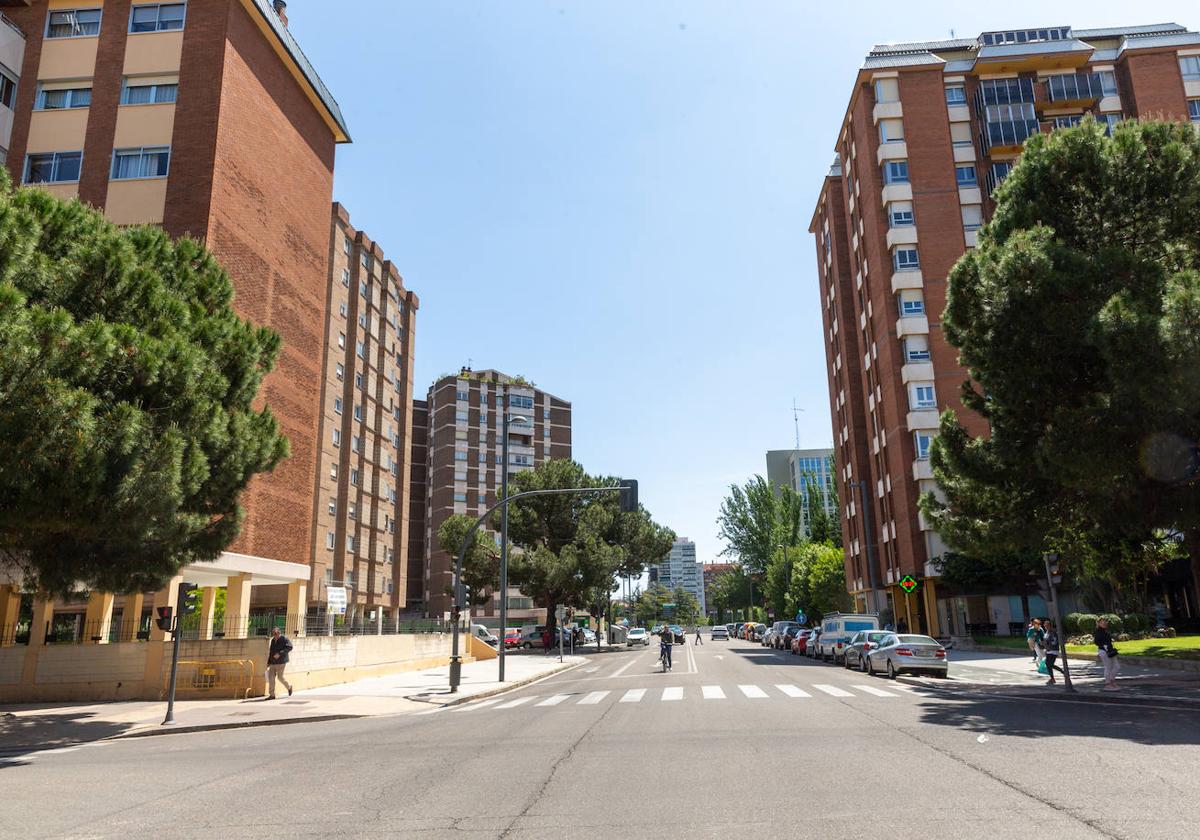 Avenida de Miguel Ángel Blanco, en Huerta del Rey.