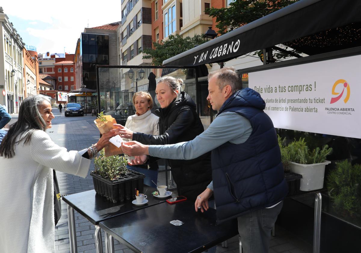 Plantas a cambio de compras en Palencia