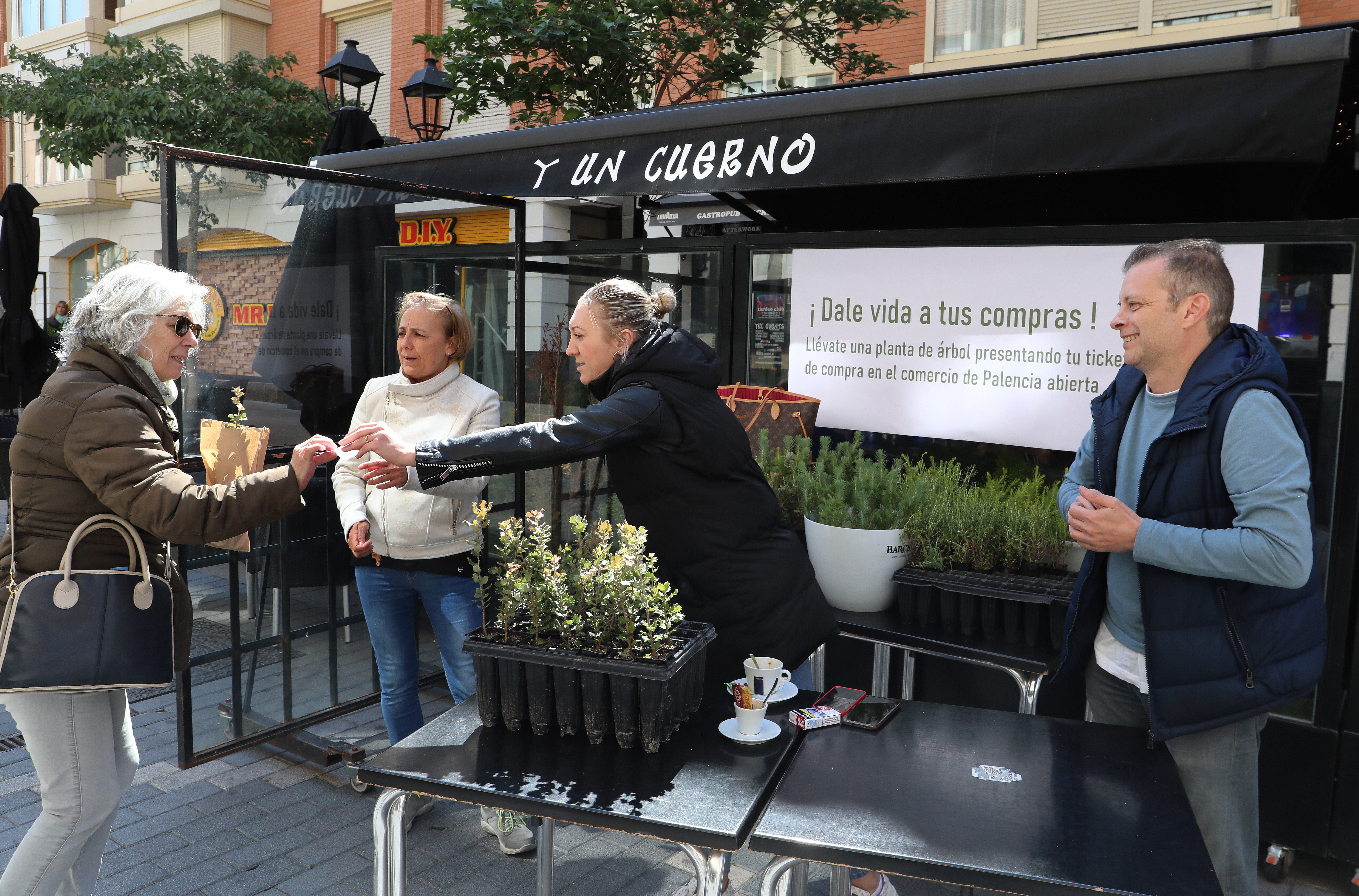 Plantas a cambio de compras en Palencia