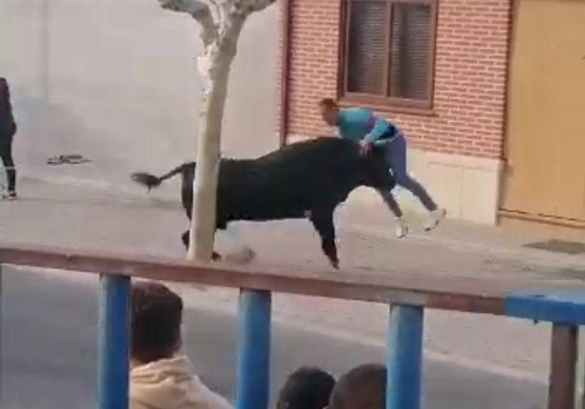 Un mozo sufre una cogida durante la suelta de un toro en Aldeamayor