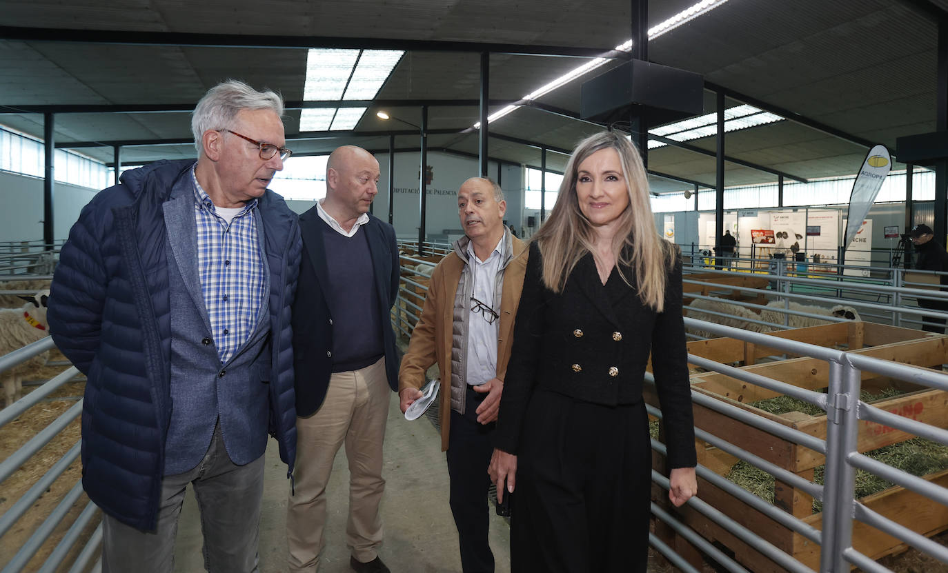 Feria Nacional de Ganado Ovino Selecto de Raza Churra en Palencia