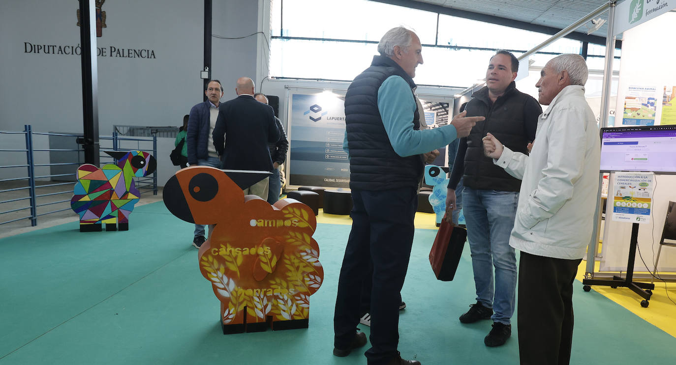 Feria Nacional de Ganado Ovino Selecto de Raza Churra en Palencia