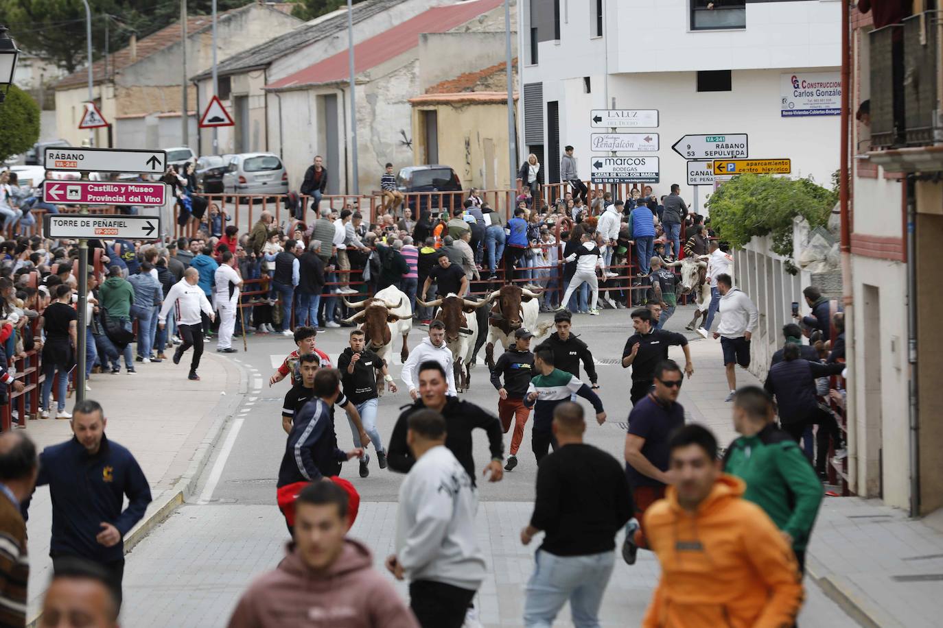 Los Toros de Mayo arrancan con un gran ambiente festivo en Peñafiel