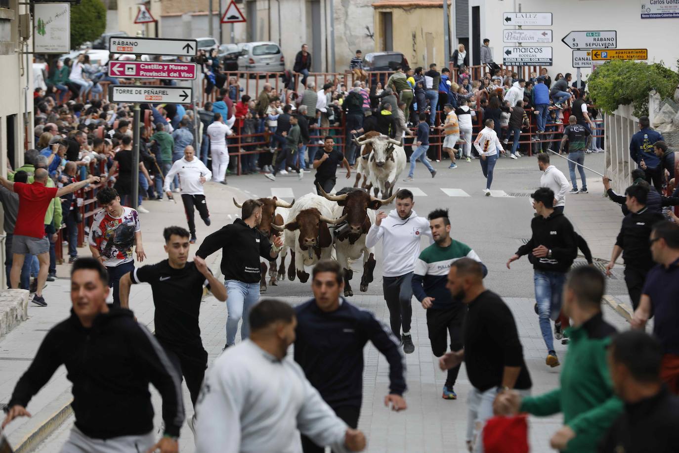 Los Toros de Mayo arrancan con un gran ambiente festivo en Peñafiel