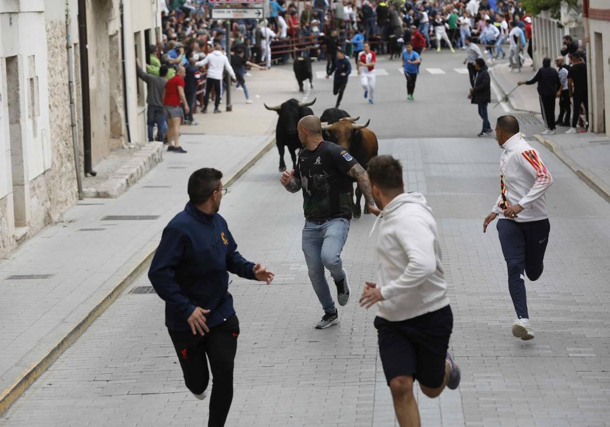 Los Toros de Mayo arrancan con un gran ambiente festivo en Peñafiel