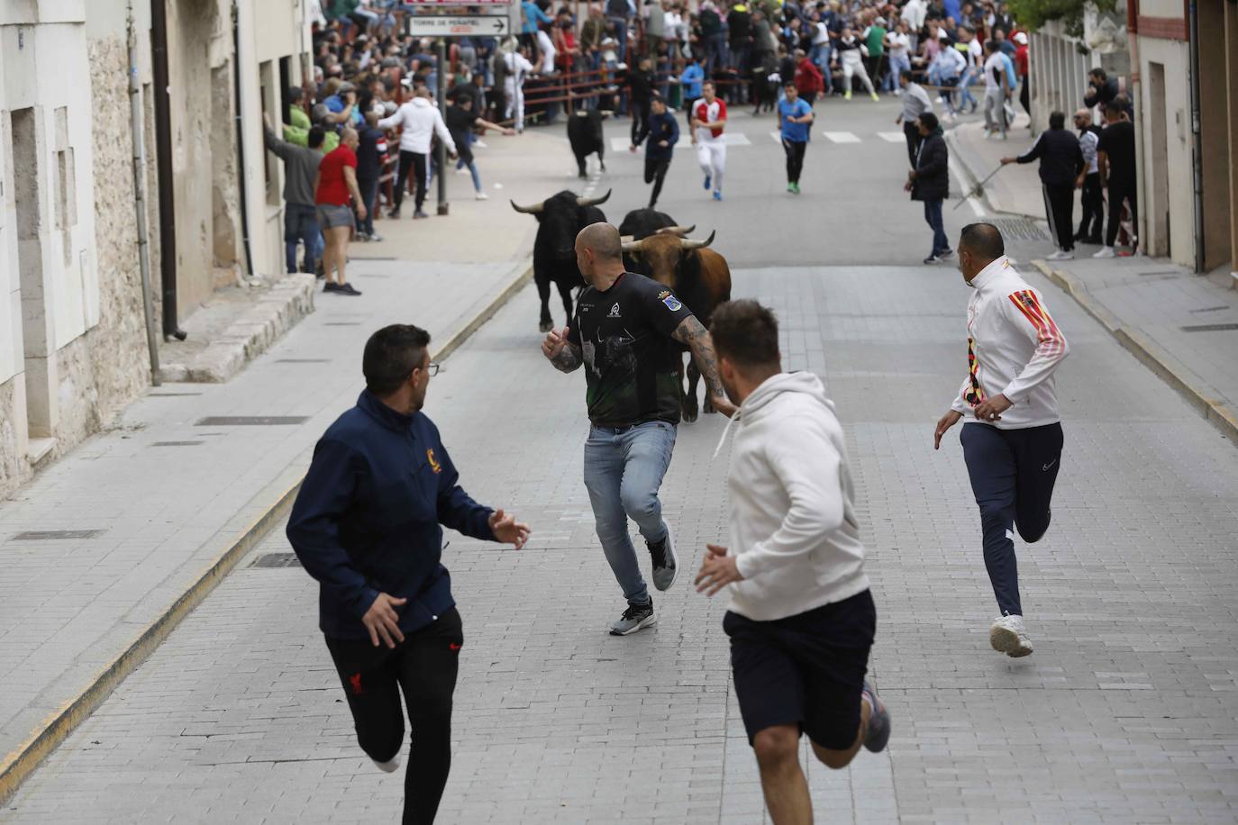 Los Toros de Mayo arrancan con un gran ambiente festivo en Peñafiel