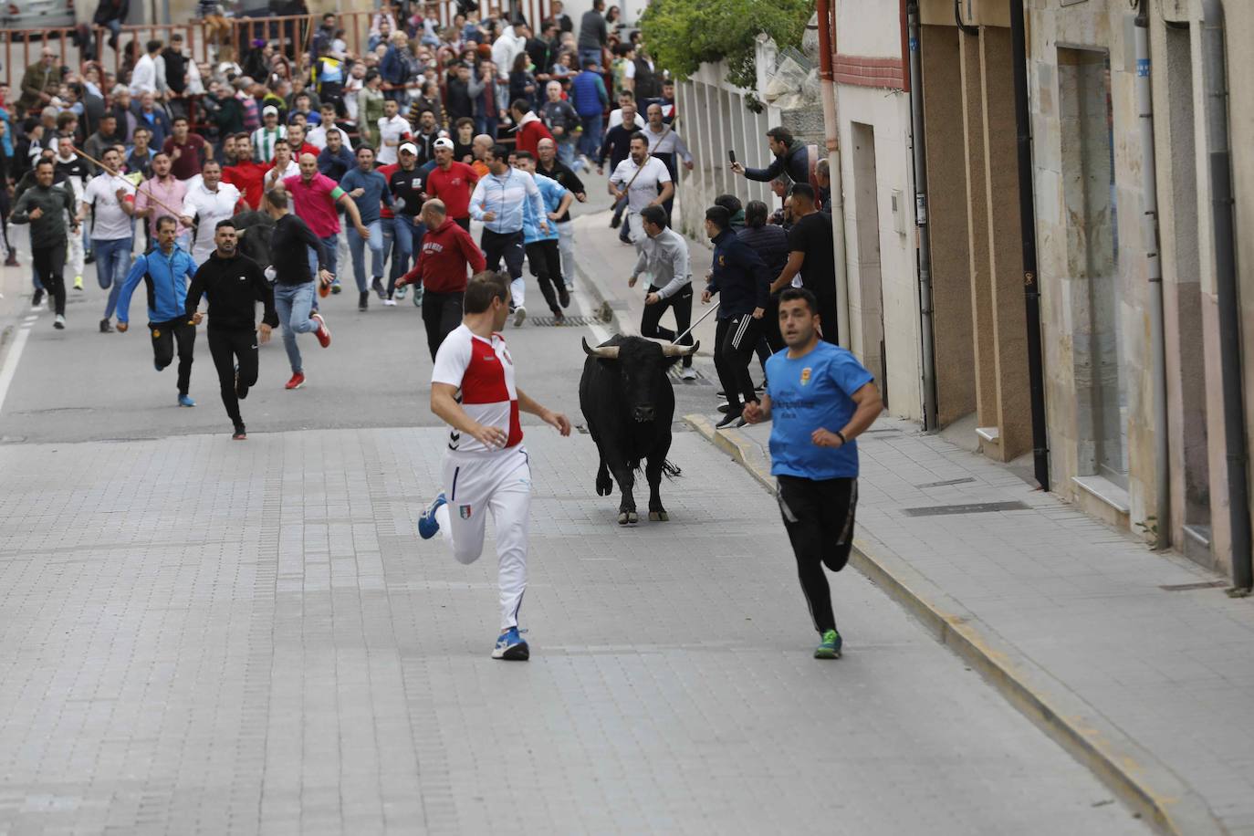 Los Toros de Mayo arrancan con un gran ambiente festivo en Peñafiel