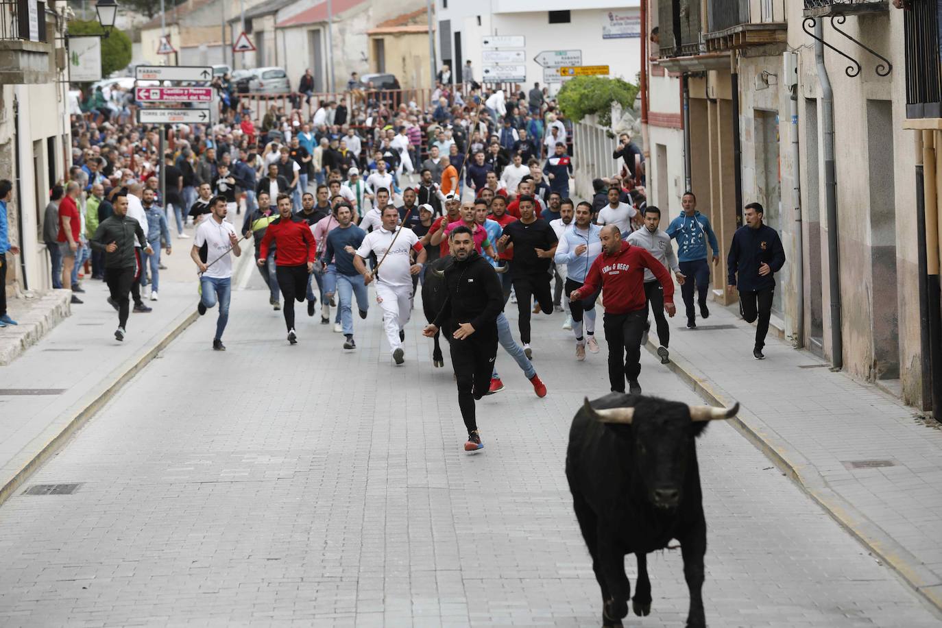 Los Toros de Mayo arrancan con un gran ambiente festivo en Peñafiel