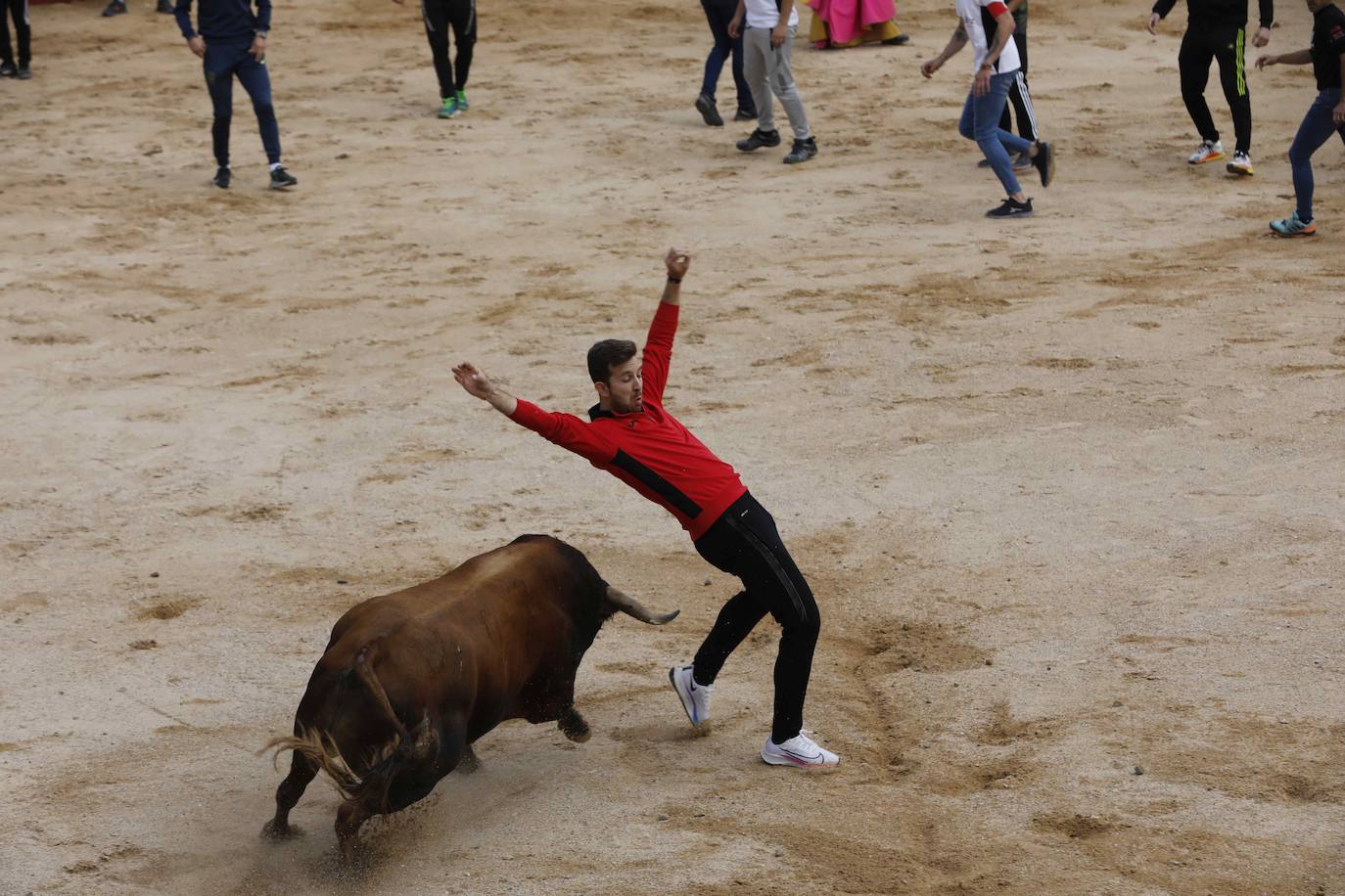 Los Toros de Mayo arrancan con un gran ambiente festivo en Peñafiel