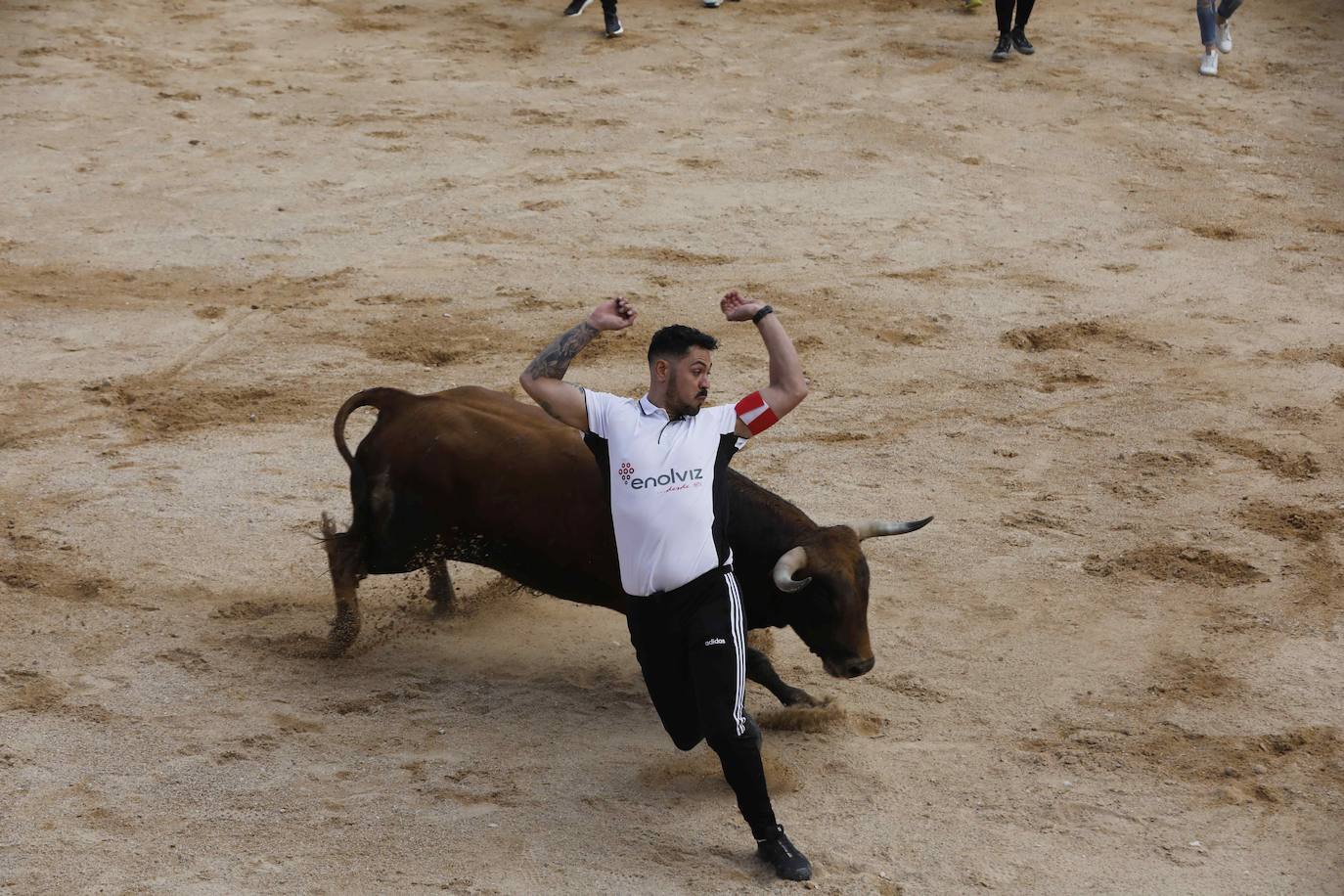 Los Toros de Mayo arrancan con un gran ambiente festivo en Peñafiel