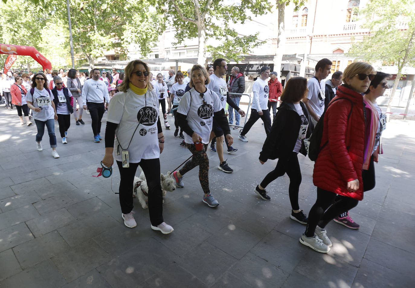 Palencia apoya el trabajo de la asociación Salud Mental