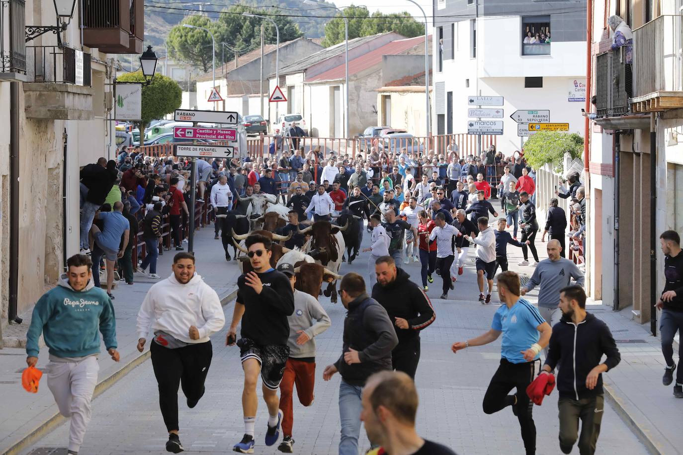 Peñafiel despide el fin de semana con un encierro limpio