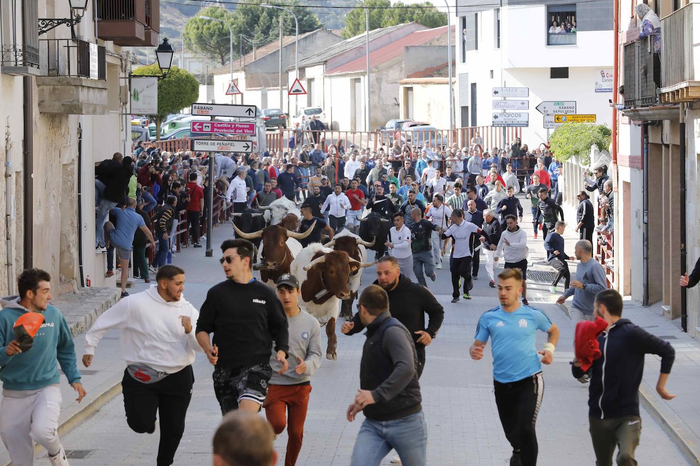 Peñafiel despide el fin de semana con un encierro limpio