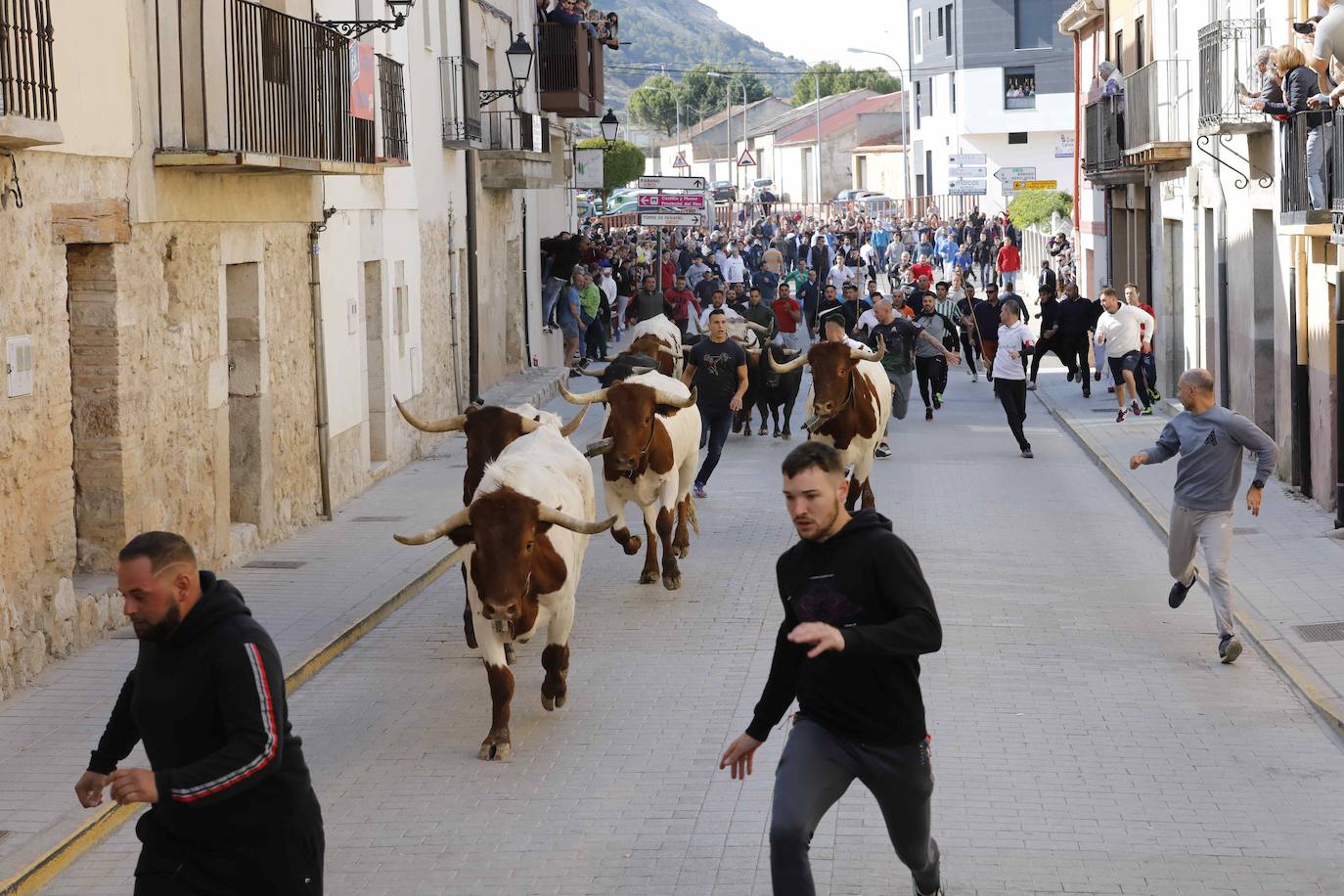 Peñafiel despide el fin de semana con un encierro limpio