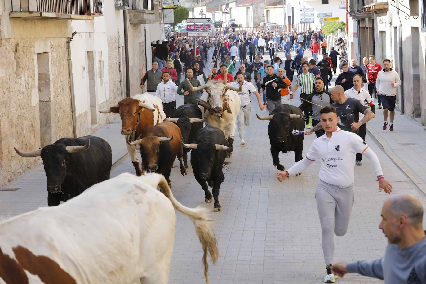 Peñafiel despide el fin de semana con un encierro limpio