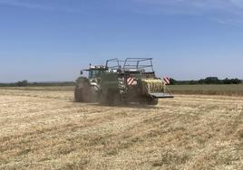 Empacando una parcela de trigo en Tamames, Salamanca.