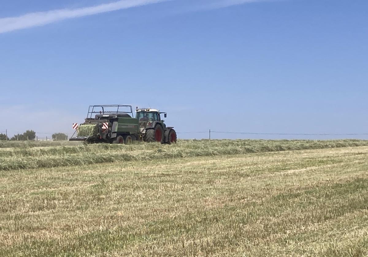 Un agricultor empaca forraje esta campaña.