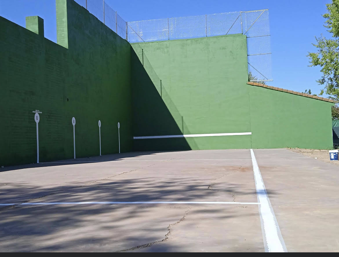 Pollos: «Proyectos importantes e irrenunciables»