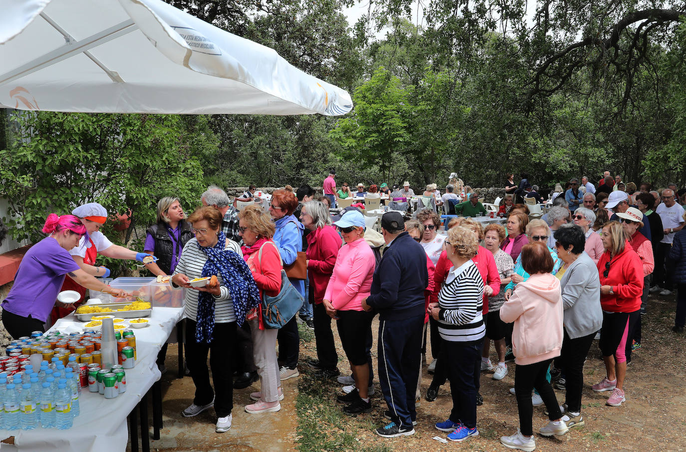 Las Aulas de Mayores de Palencia despiden el curso