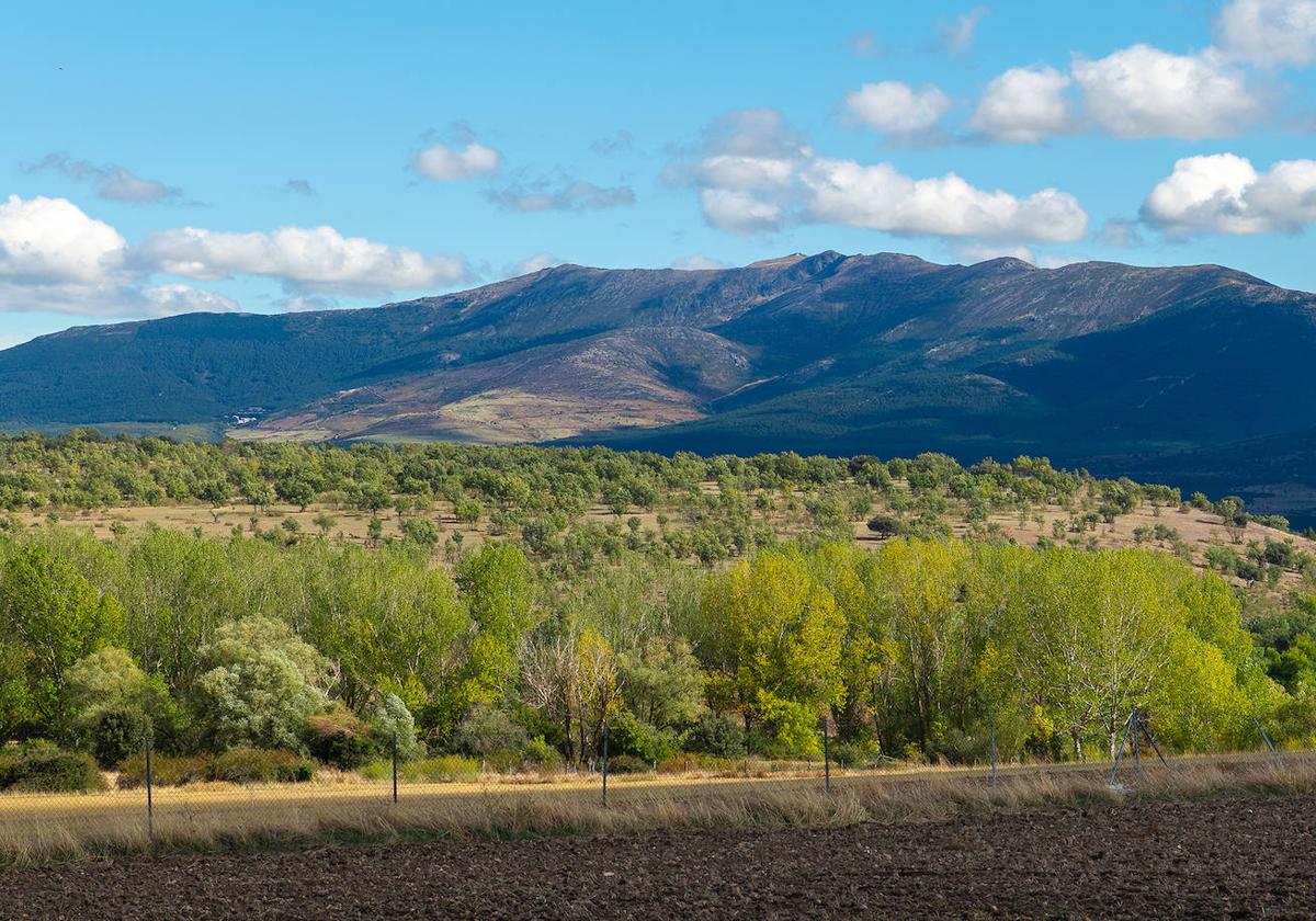 Zona donde está proyectada la mina en el Nordeste de Segovia.