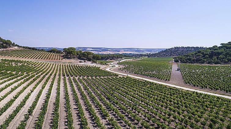 Expropiación encubierta de las fincas de la Ribera del Duero