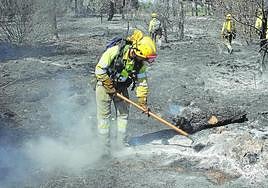 Agentes medioambientales apagan rescoldos en un incendio ocurrido en la provincia de Segovia.