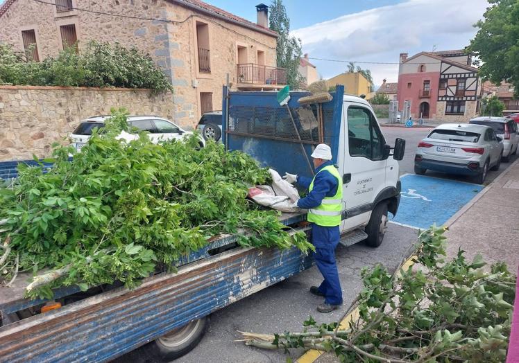 Imagen principal - Árboles afectados por el temporal en Torrecaballeros.