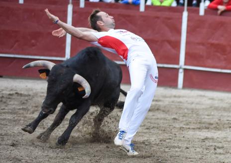 Imagen secundaria 1 - Diferentes momentos del festejo. Toropasión