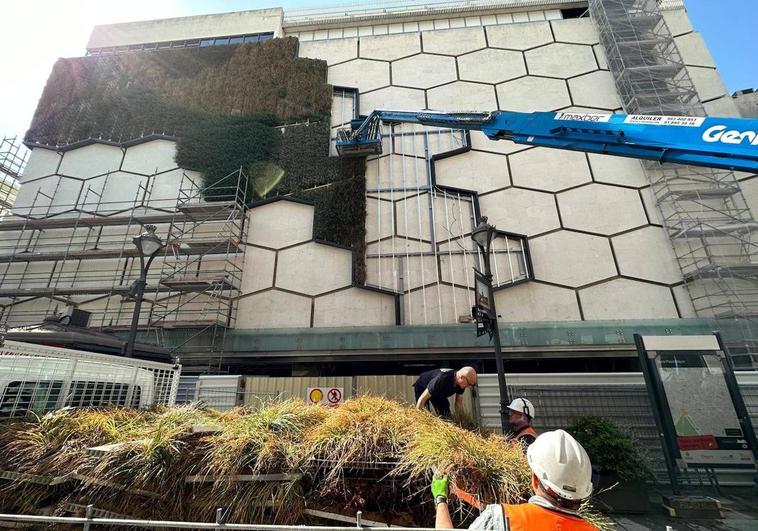 Retirada del jardín vertical en la fachada del antiguo El Corte Inglés.