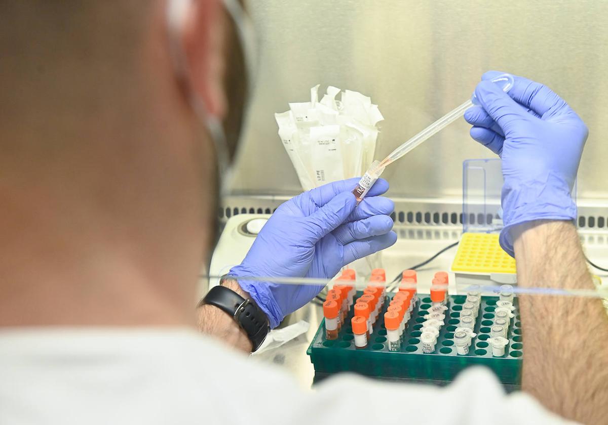 Un investigador trabaja en un laboratorio, en una imagen de archivo.