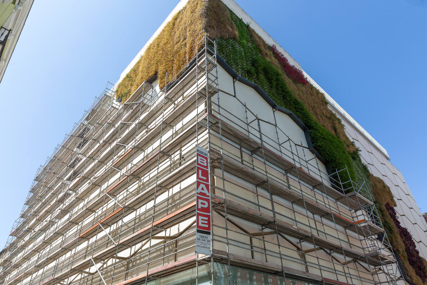 Valladolid se despide del jardín vertical del Corte Inglés