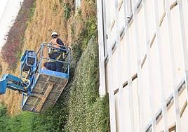 Una grúa retira el jardín vertical del Corte Inglés de Constitución