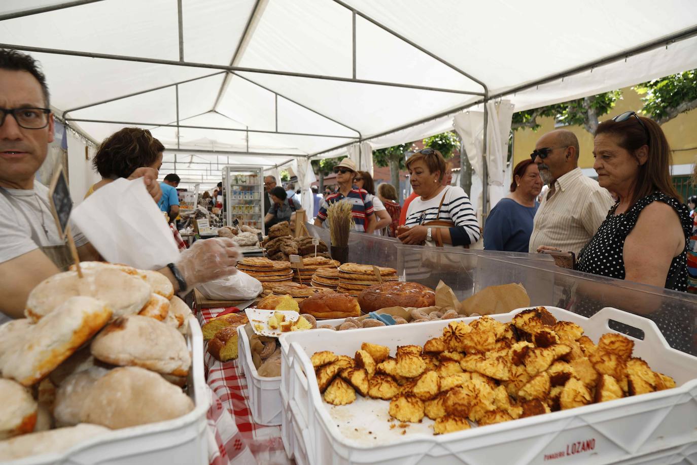 La Feria del Espárrago de Tudela de Duero, en imágenes