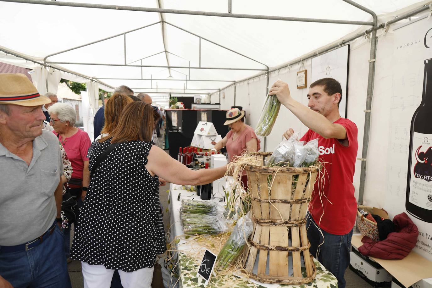 La Feria del Espárrago de Tudela de Duero, en imágenes